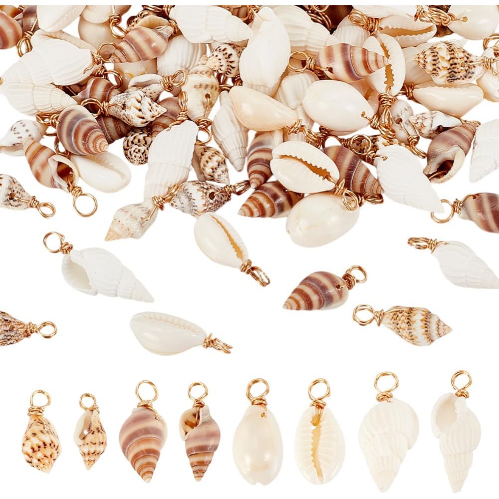 100pcs 4 Styles Natural Shell  - Jewelry Making Tutorials review and price